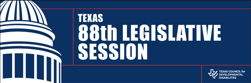 Texas 88th Legislative Session